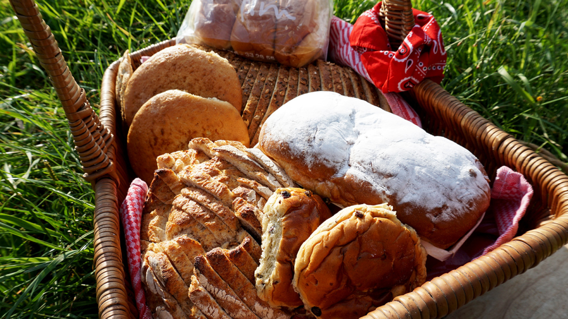 Brood